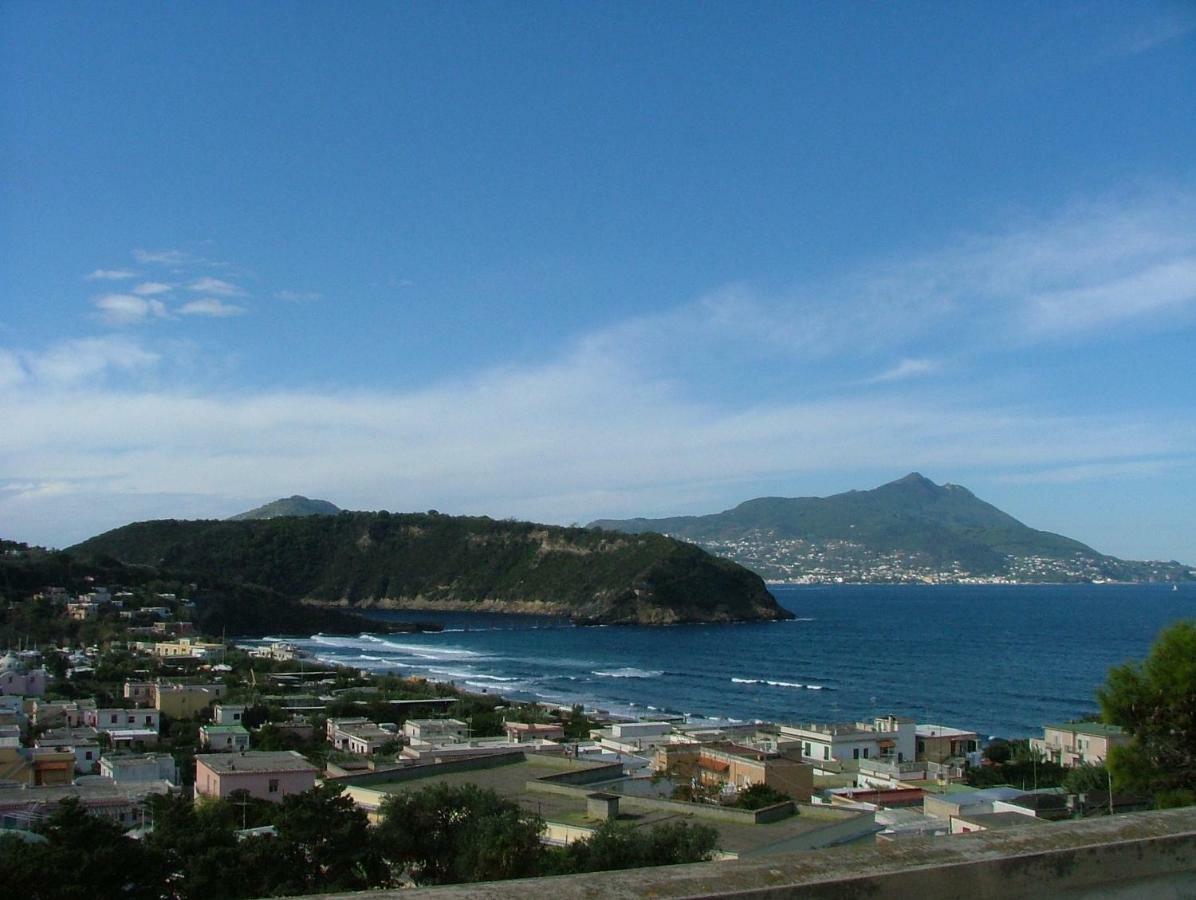Casa Geltrude Al Porto Villa Procida Eksteriør bilde